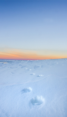 Winterlandschaft